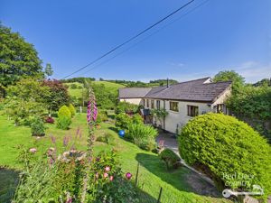 Front- click for photo gallery